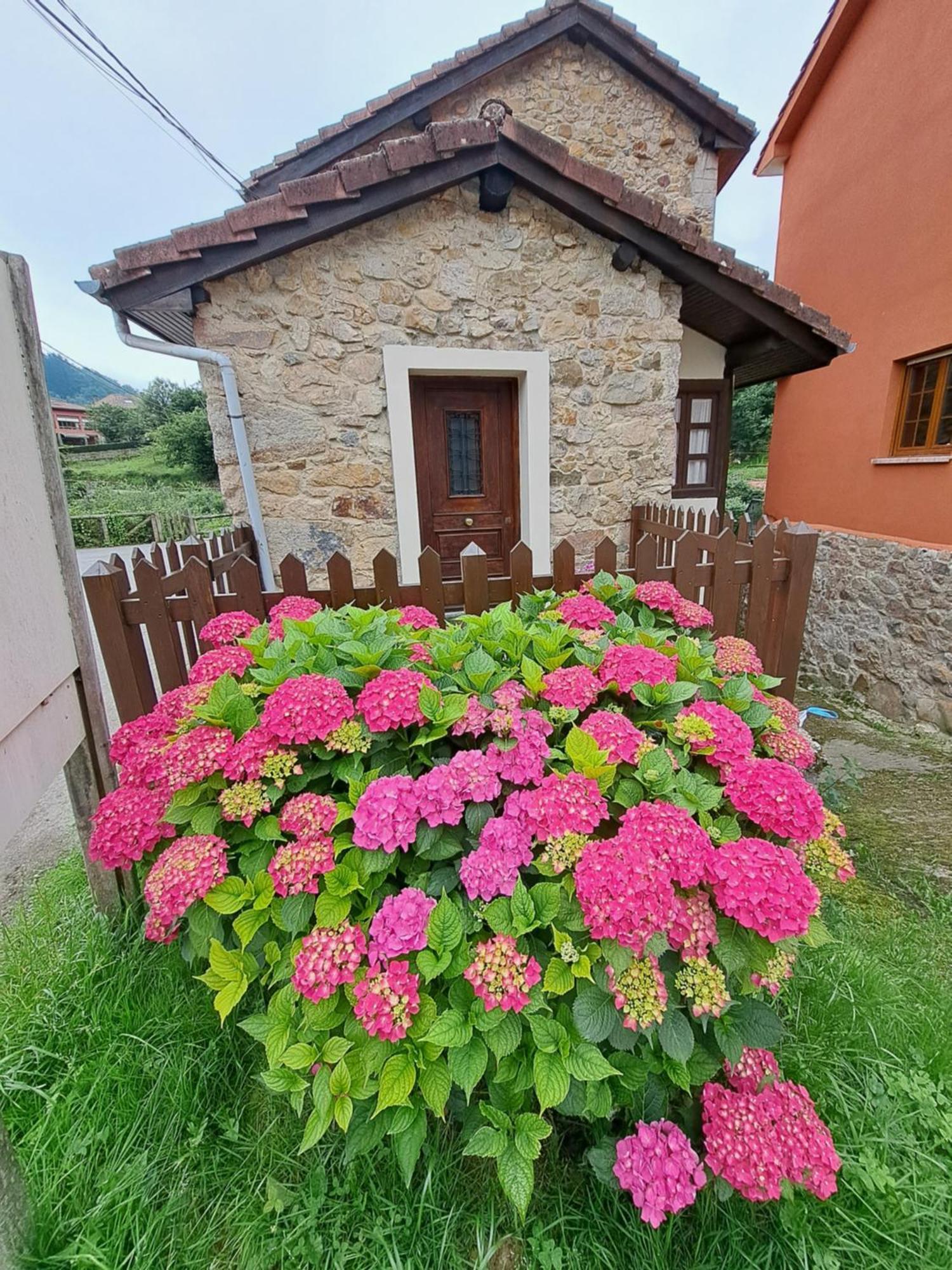 Casa Rural El Puente De Agues Soto De Agues Bagian luar foto